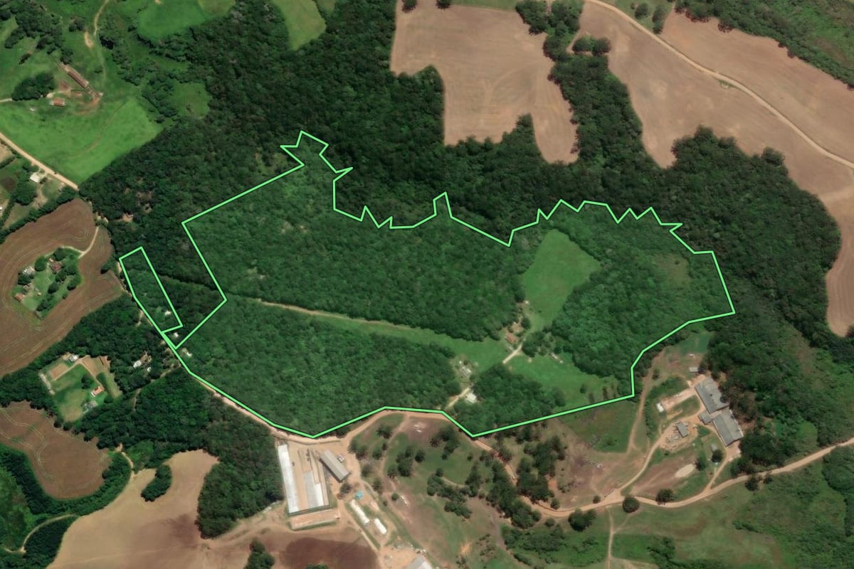 Imagem de satélite do imóvel rural em Carambeí (PR), com o contorno declarado no CAR desenhado por cima.
