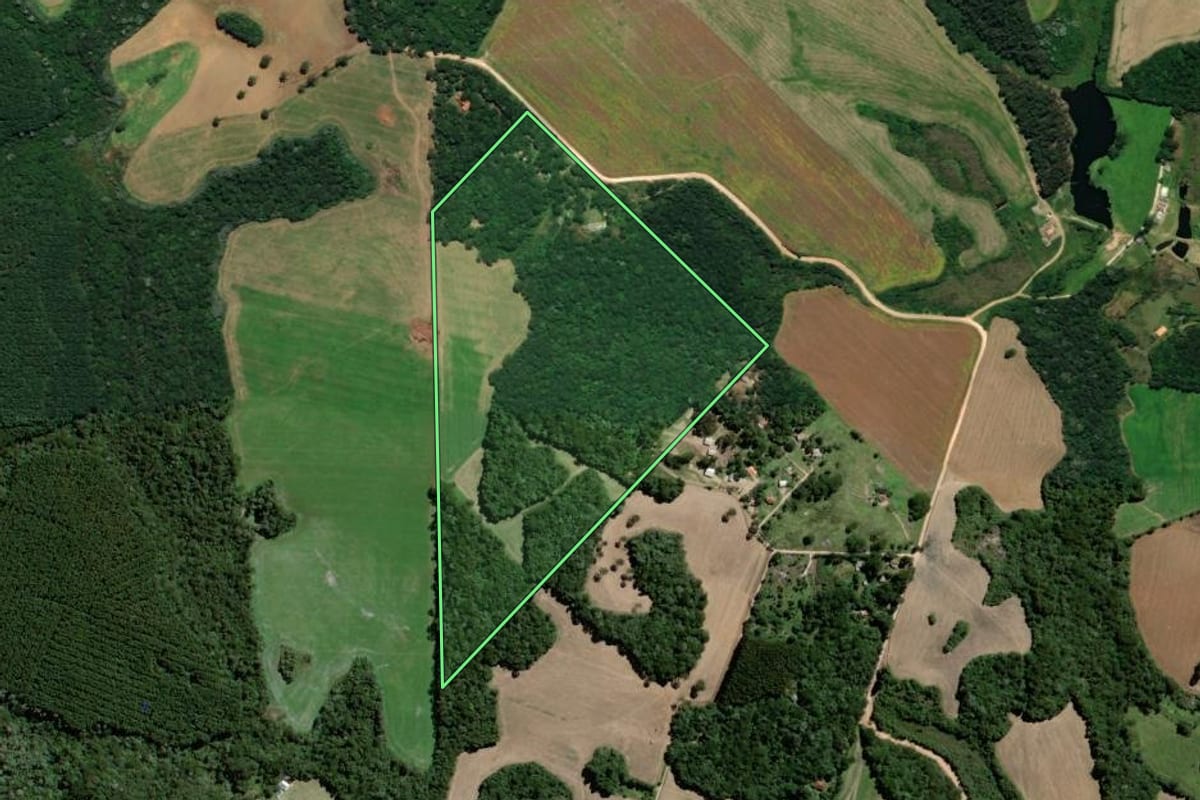Imagem de satélite do imóvel rural em Carambeí (PR), com o contorno declarado no CAR desenhado por cima.
