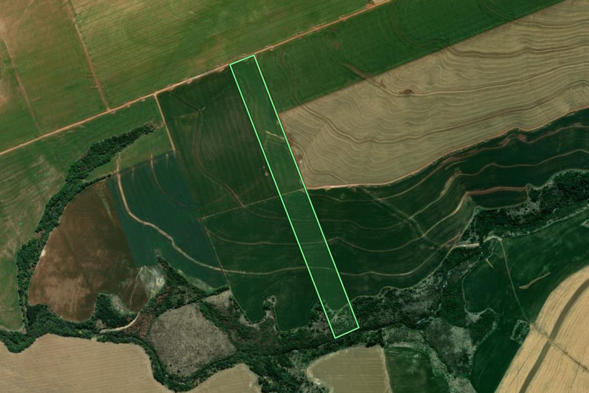 Imagem de satélite do imóvel rural em Carambeí (PR), com o contorno declarado no CAR desenhado por cima.