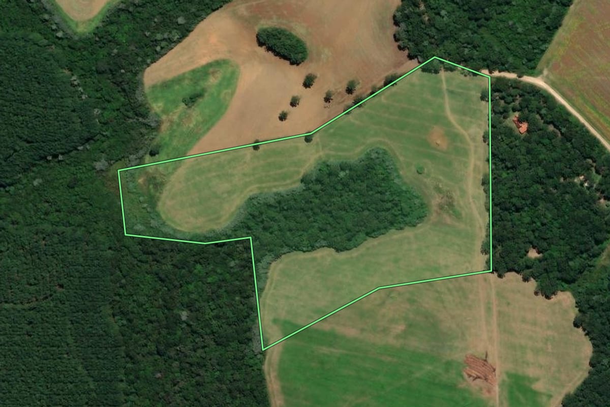 Imagem de satélite do imóvel rural em Carambeí (PR), com o contorno declarado no CAR desenhado por cima.