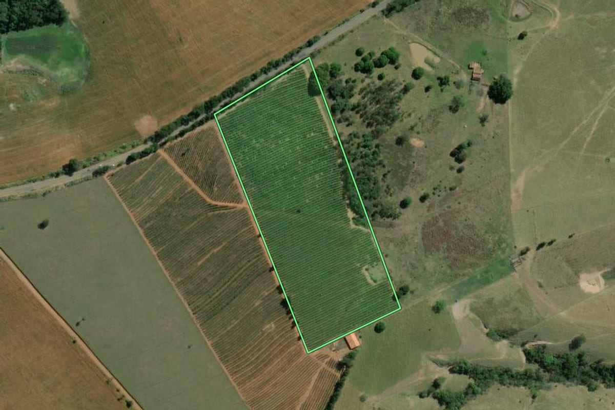 Imagem de satélite do imóvel rural em Carlópolis (PR), com o contorno declarado no CAR desenhado por cima.