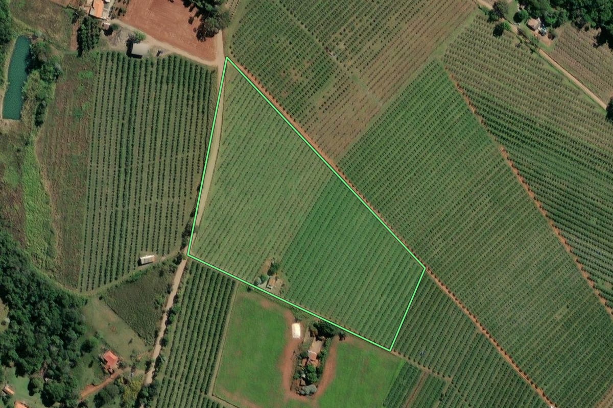 Imagem de satélite do imóvel rural em Carlópolis (PR), com o contorno declarado no CAR desenhado por cima.