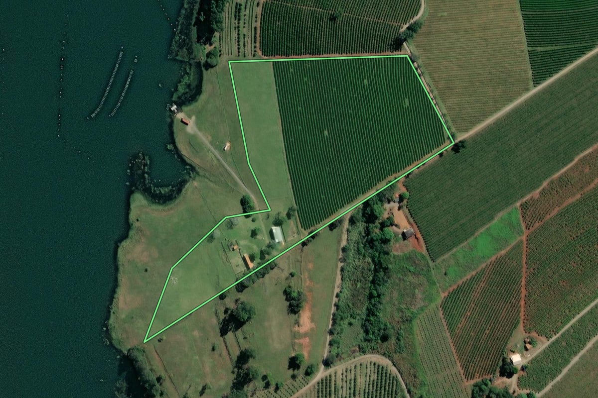 Imagem de satélite do imóvel rural em Carlópolis (PR), com o contorno declarado no CAR desenhado por cima.