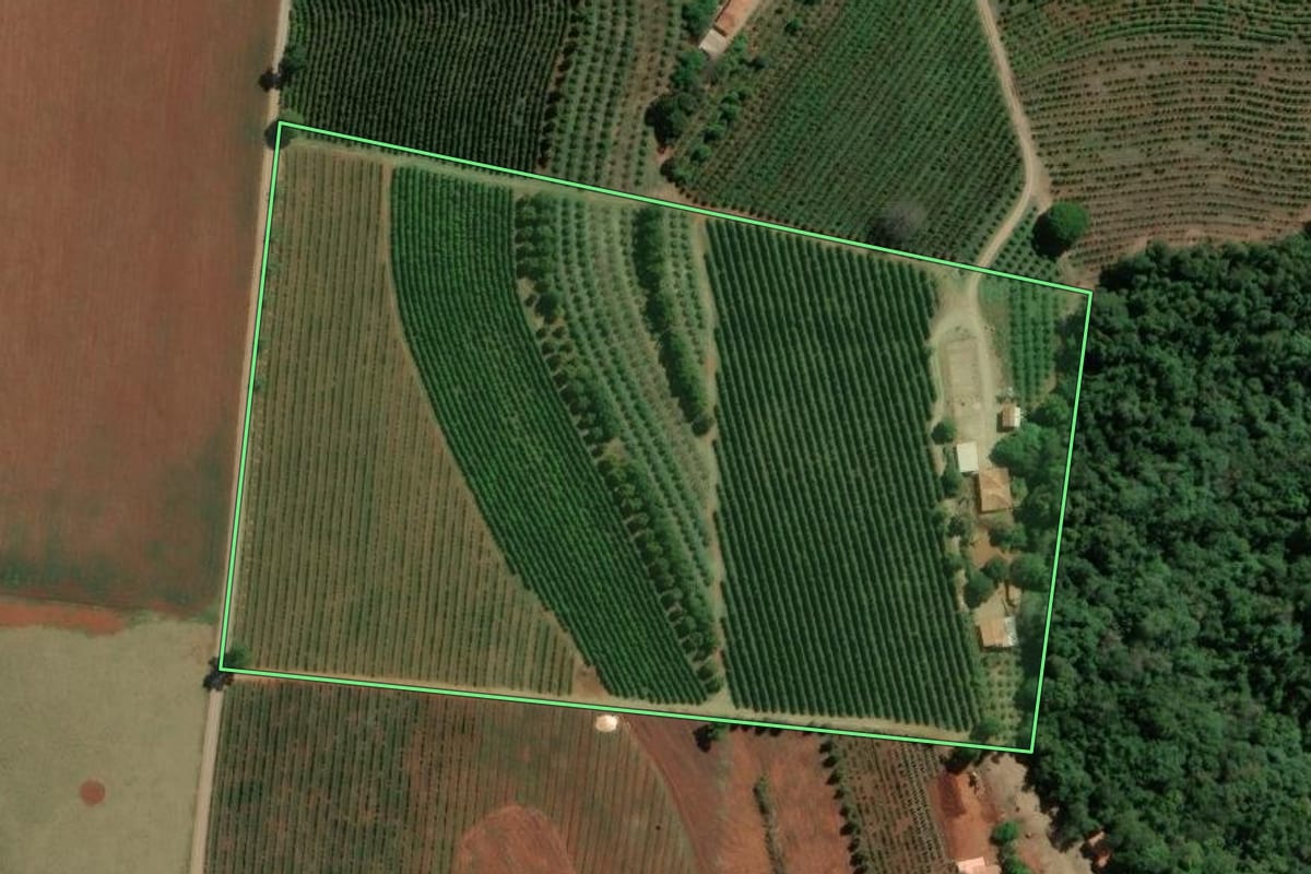 Imagem de satélite do imóvel rural em Carlópolis (PR), com o contorno declarado no CAR desenhado por cima.