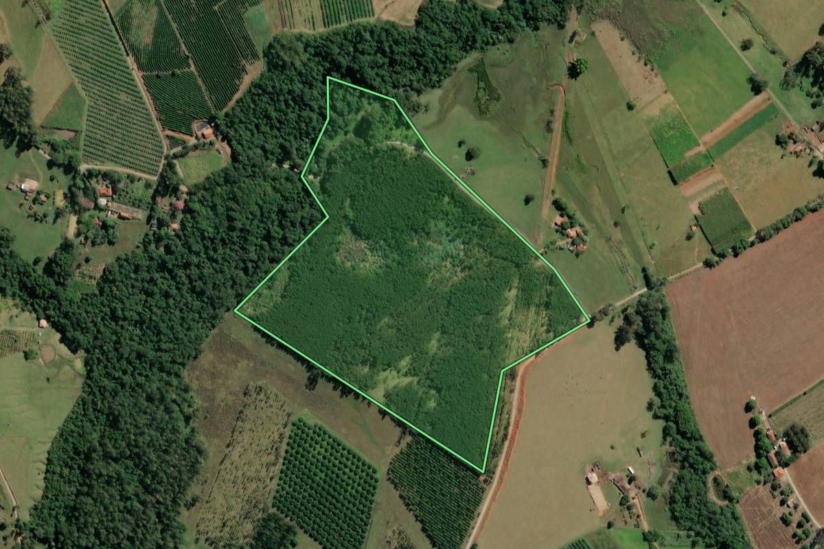 Imagem de satélite do imóvel rural em Carlópolis (PR), com o contorno declarado no CAR desenhado por cima.