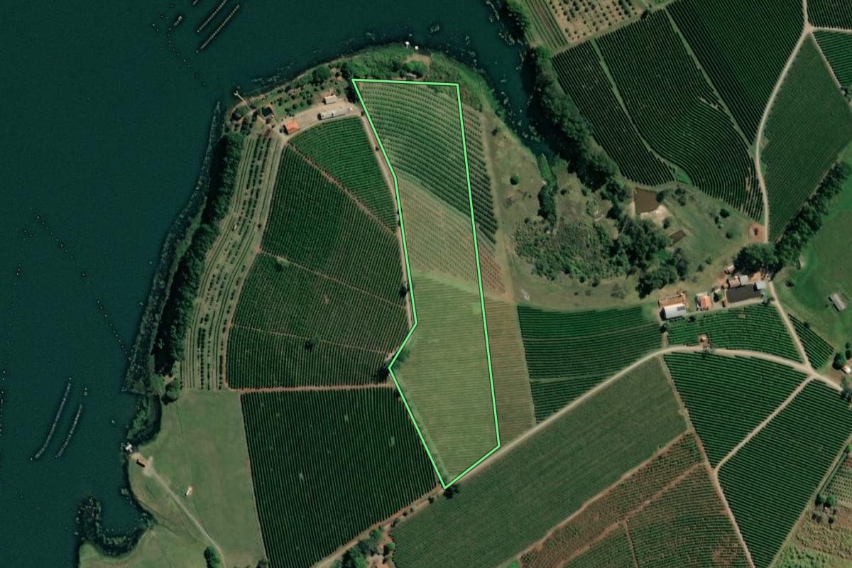 Imagem de satélite do imóvel rural em Carlópolis (PR), com o contorno declarado no CAR desenhado por cima.
