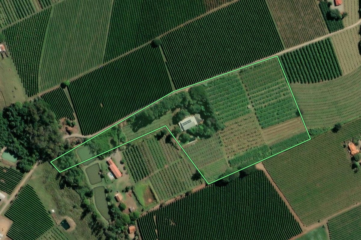Imagem de satélite do imóvel rural em Carlópolis (PR), com o contorno declarado no CAR desenhado por cima.