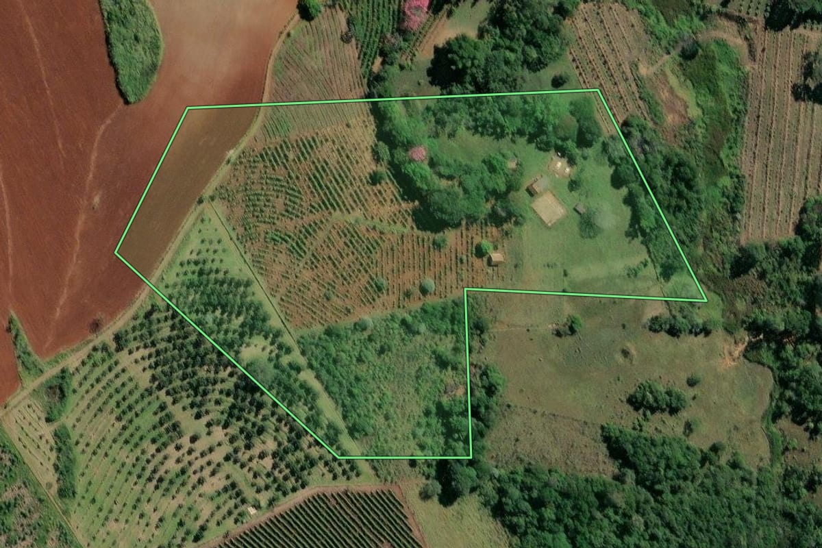 Imagem de satélite do imóvel rural em Carlópolis (PR), com o contorno declarado no CAR desenhado por cima.