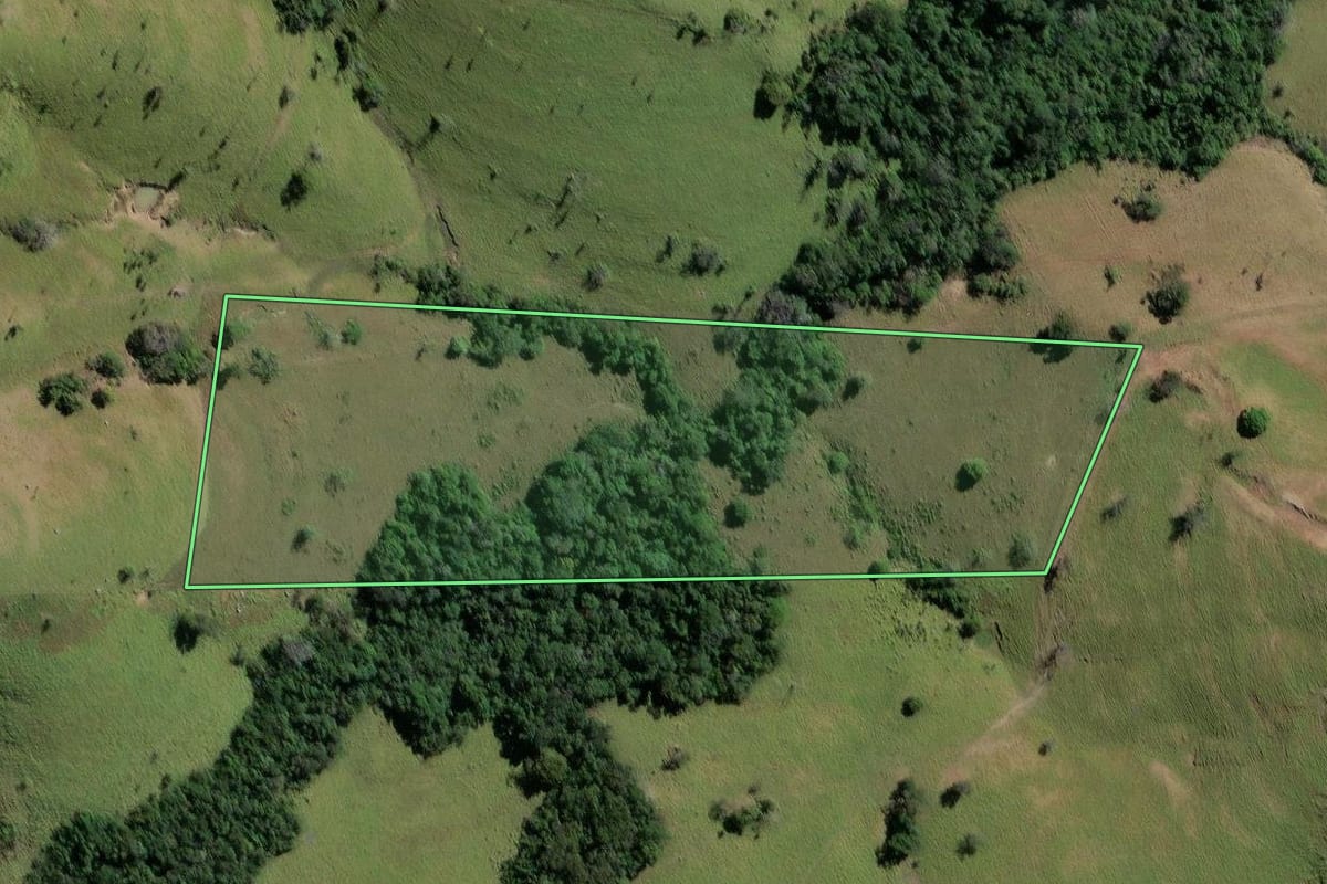 Imagem de satélite do imóvel rural em Carlópolis (PR), com o contorno declarado no CAR desenhado por cima.