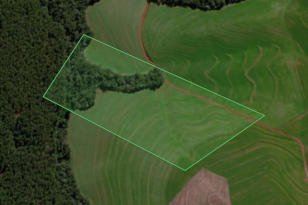Imagem de satélite do imóvel rural em Cascavel (PR), com o contorno declarado no CAR desenhado por cima.