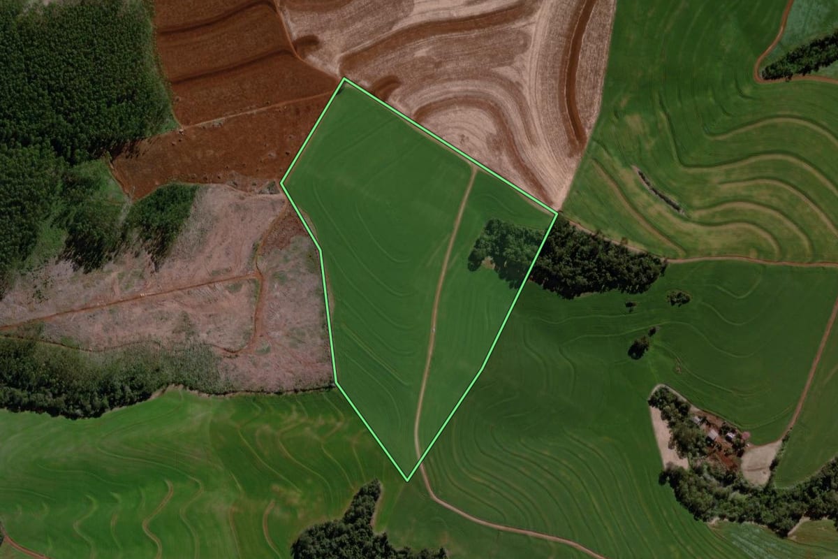 Imagem de satélite do imóvel rural em Cascavel (PR), com o contorno declarado no CAR desenhado por cima.