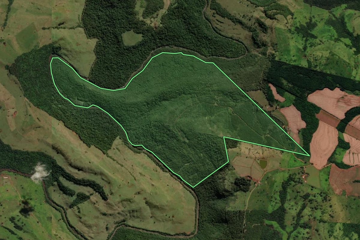 Imagem de satélite do imóvel rural em Cascavel (PR), com o contorno declarado no CAR desenhado por cima.