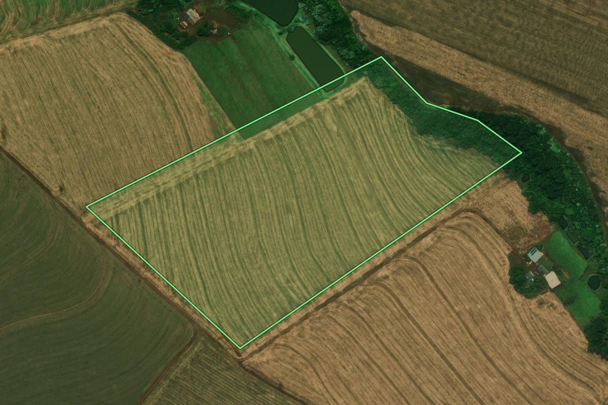 Imagem de satélite do imóvel rural em Cascavel (PR), com o contorno declarado no CAR desenhado por cima.