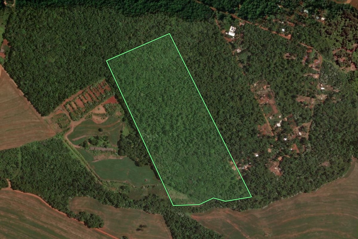 Imagem de satélite do imóvel rural em Cascavel (PR), com o contorno declarado no CAR desenhado por cima.