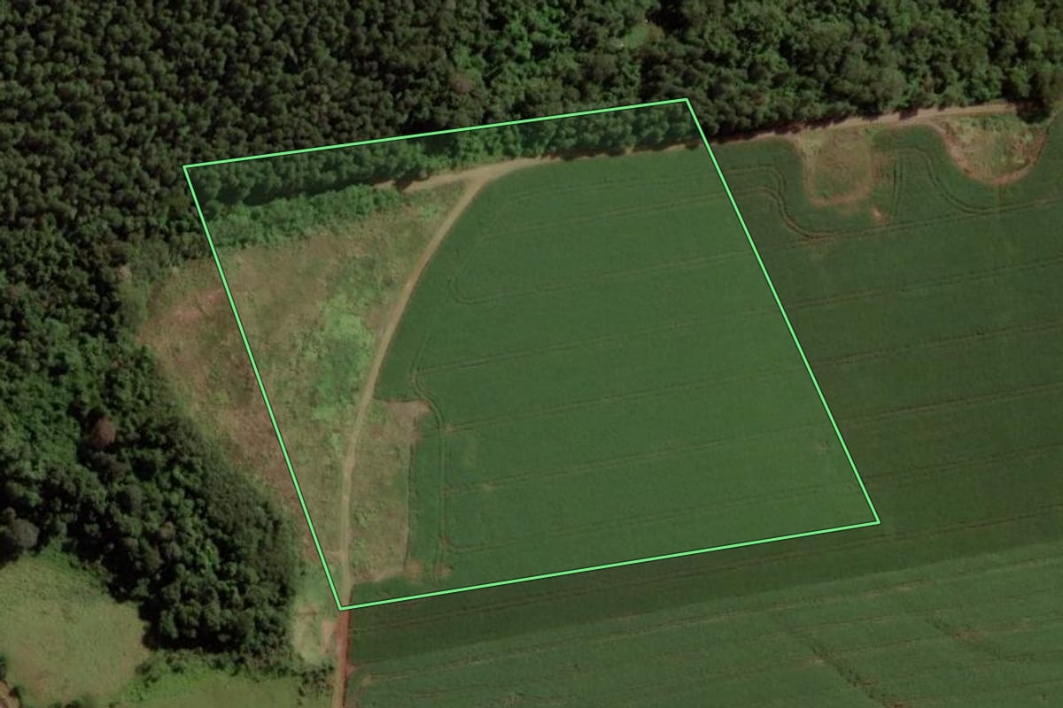 Imagem de satélite do imóvel rural em Cascavel (PR), com o contorno declarado no CAR desenhado por cima.