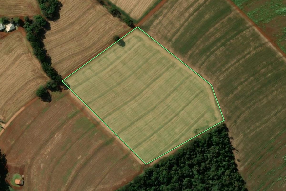 Imagem de satélite do imóvel rural em Cascavel (PR), com o contorno declarado no CAR desenhado por cima.