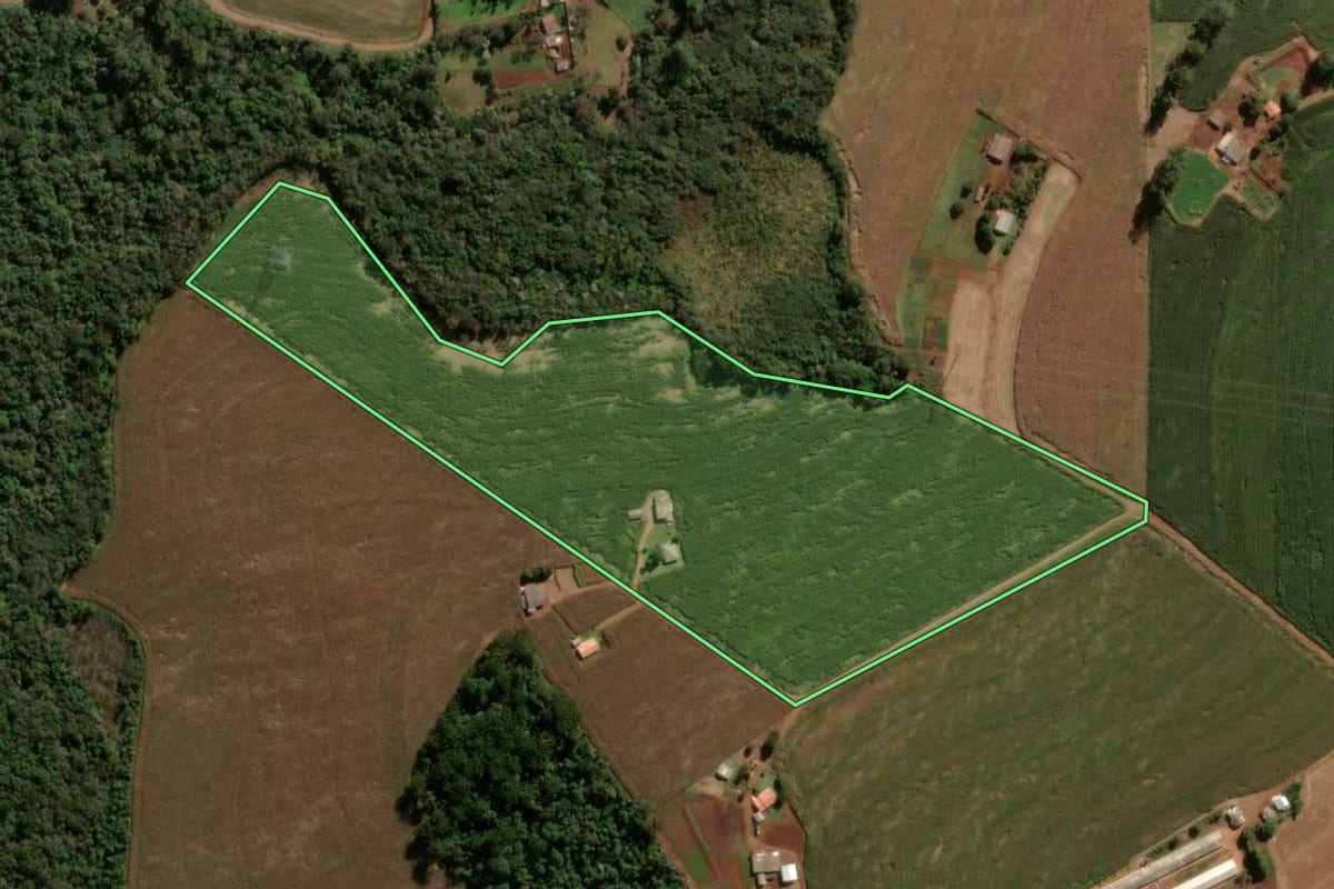 Imagem de satélite do imóvel rural em Cascavel (PR), com o contorno declarado no CAR desenhado por cima.
