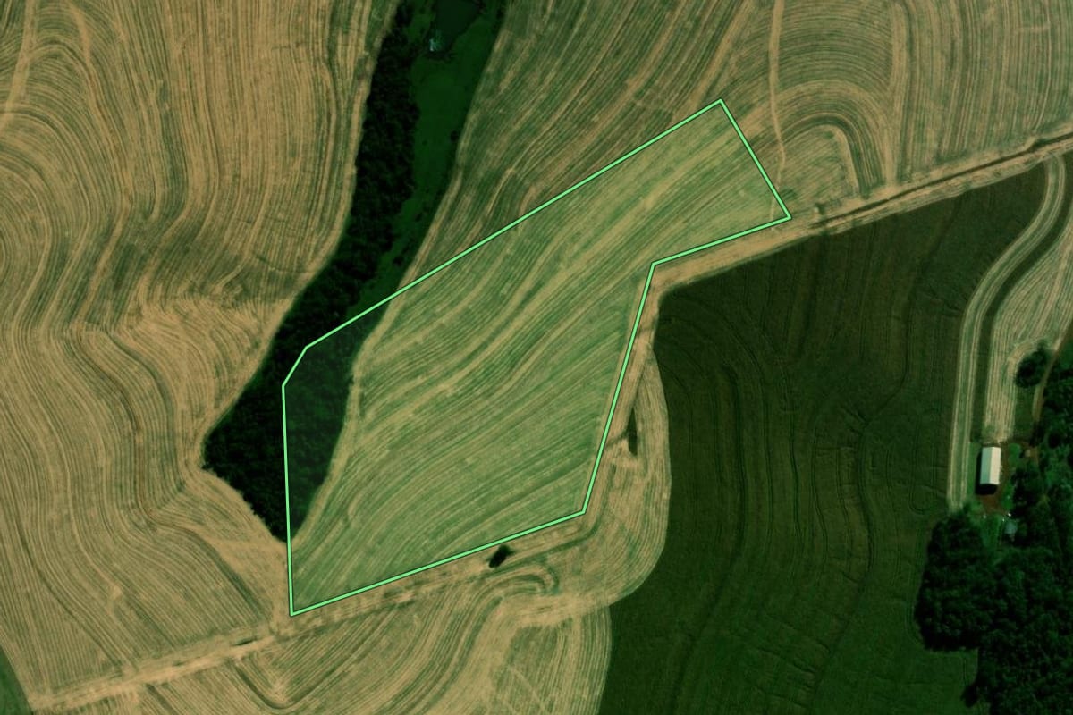 Imagem de satélite do imóvel rural em Cascavel (PR), com o contorno declarado no CAR desenhado por cima.