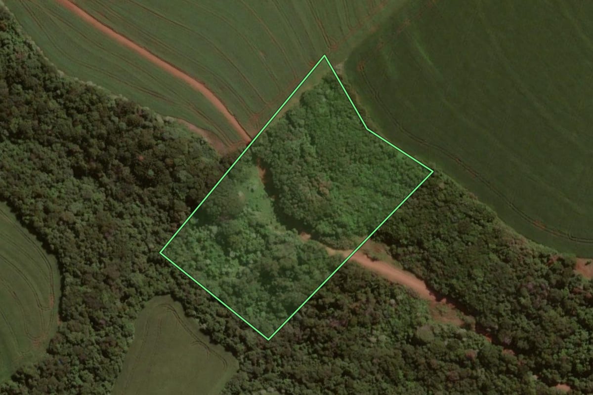 Imagem de satélite do imóvel rural em Cascavel (PR), com o contorno declarado no CAR desenhado por cima.