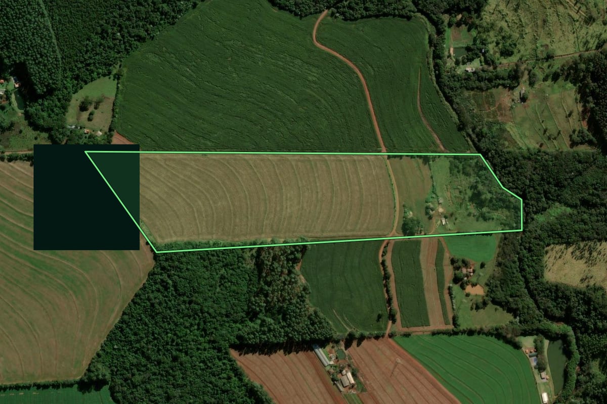 Imagem de satélite do imóvel rural em Cascavel (PR), com o contorno declarado no CAR desenhado por cima.