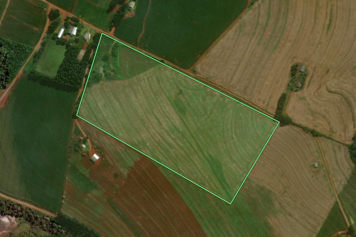 Imagem de satélite do imóvel rural em Cascavel (PR), com o contorno declarado no CAR desenhado por cima.