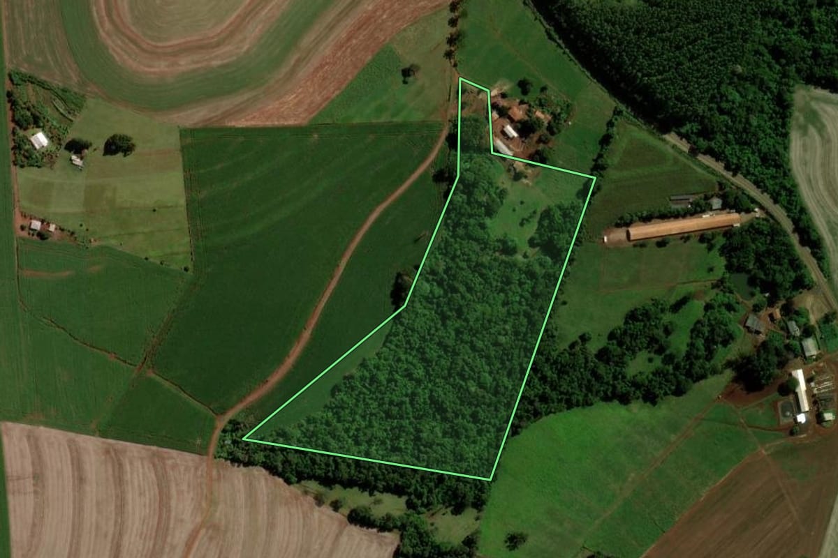 Imagem de satélite do imóvel rural em Cascavel (PR), com o contorno declarado no CAR desenhado por cima.