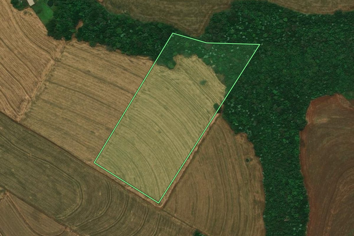 Imagem de satélite do imóvel rural em Cascavel (PR), com o contorno declarado no CAR desenhado por cima.