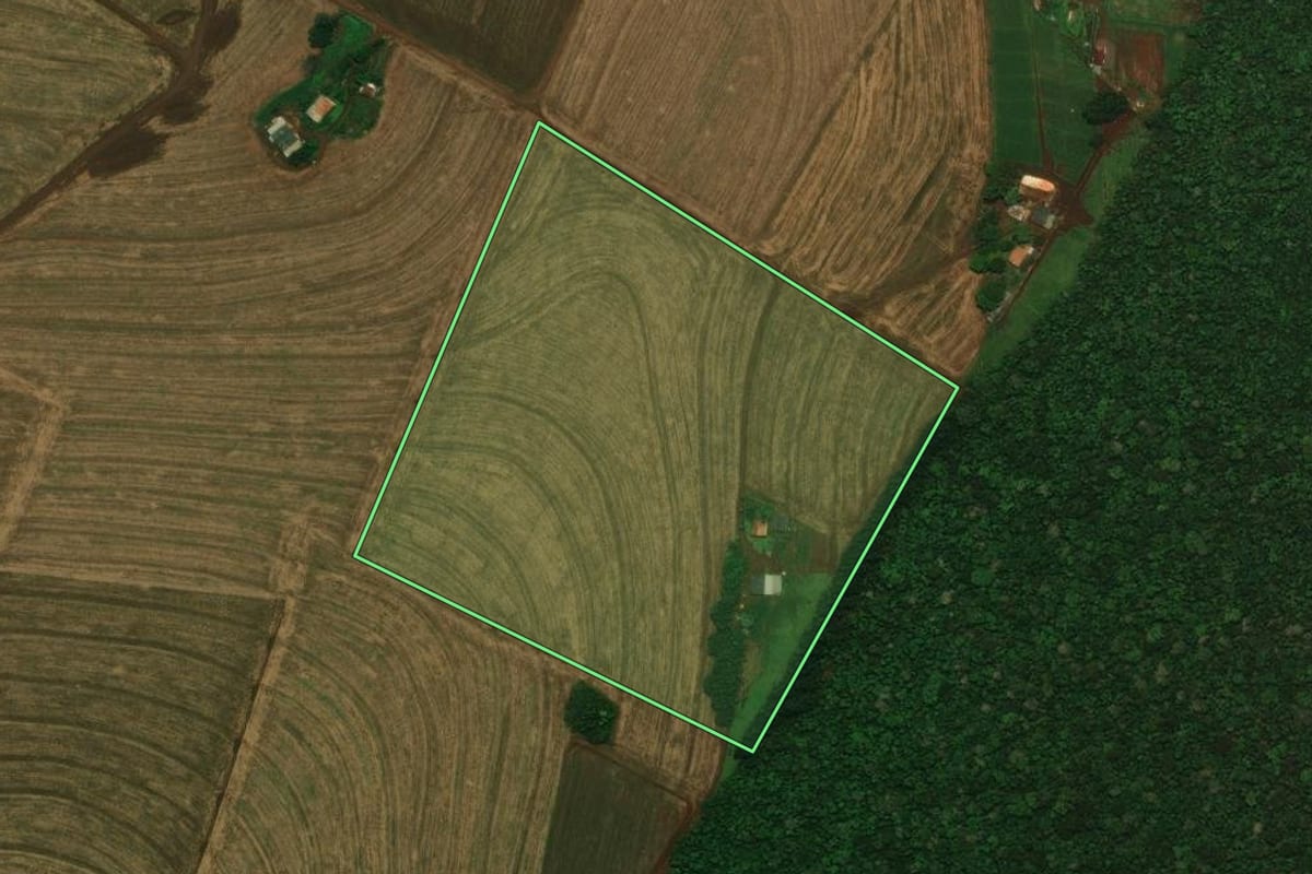 Imagem de satélite do imóvel rural em Cascavel (PR), com o contorno declarado no CAR desenhado por cima.