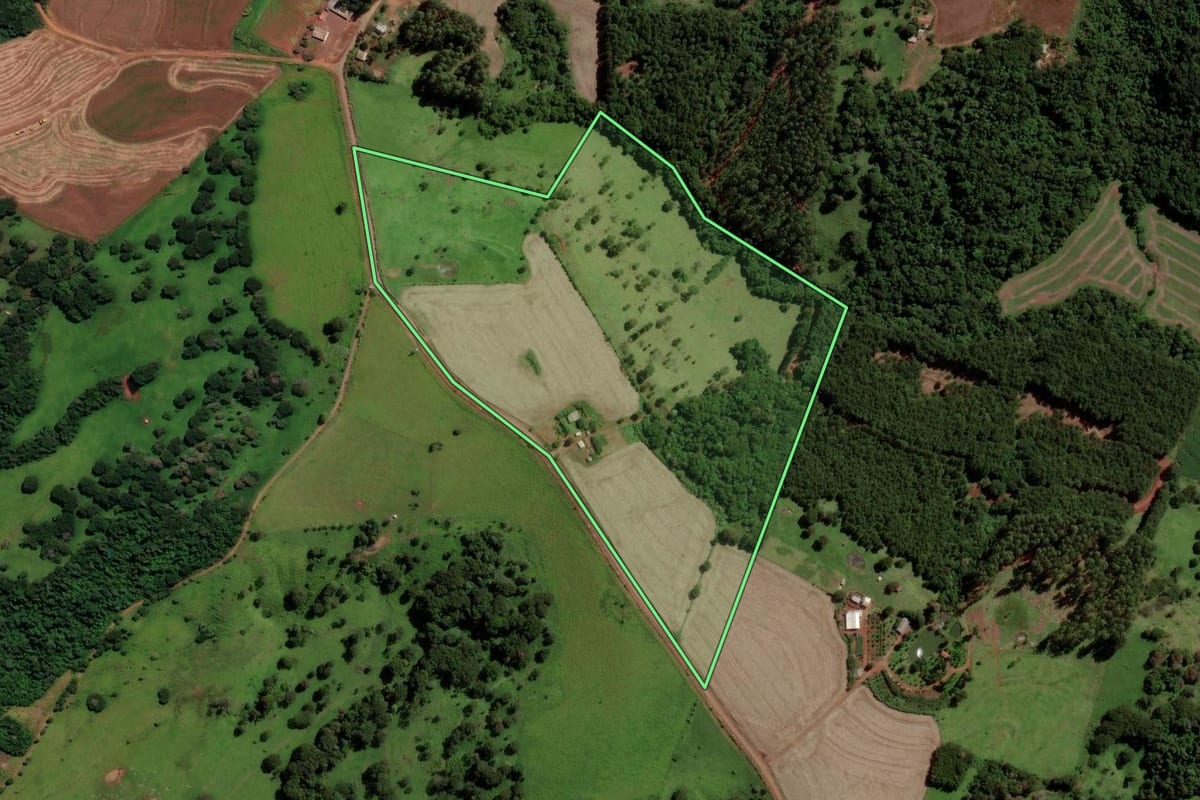 Imagem de satélite do imóvel rural em Cascavel (PR), com o contorno declarado no CAR desenhado por cima.