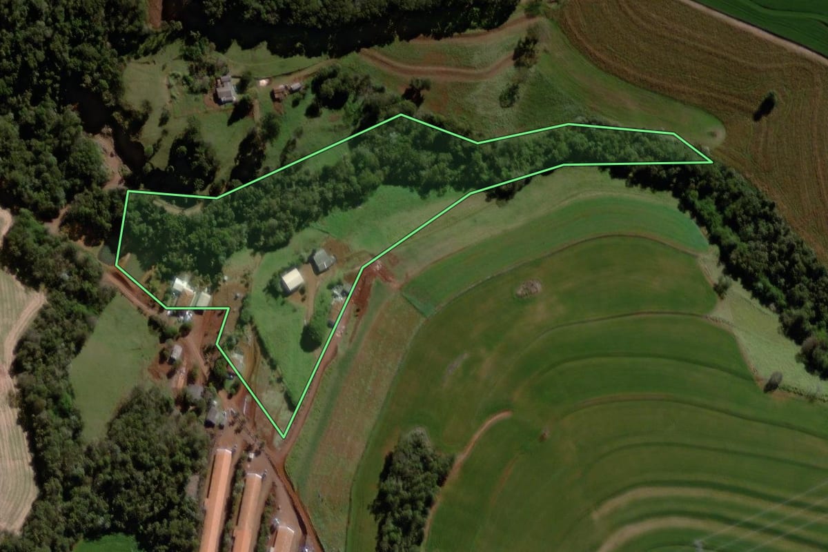 Imagem de satélite do imóvel rural em Cascavel (PR), com o contorno declarado no CAR desenhado por cima.