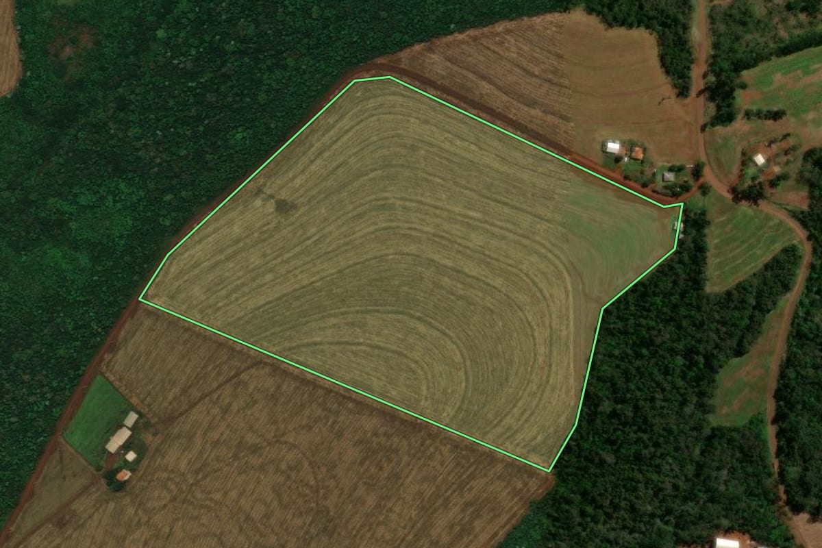 Imagem de satélite do imóvel rural em Cascavel (PR), com o contorno declarado no CAR desenhado por cima.