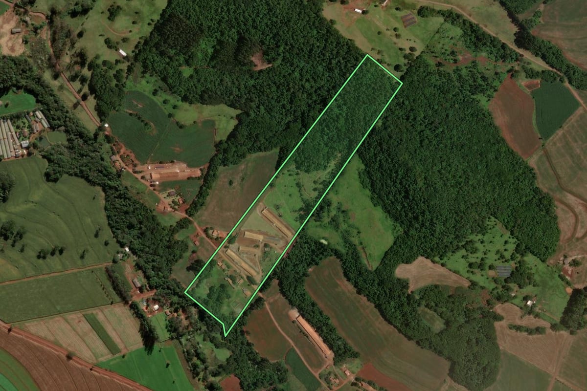 Imagem de satélite do imóvel rural em Cascavel (PR), com o contorno declarado no CAR desenhado por cima.