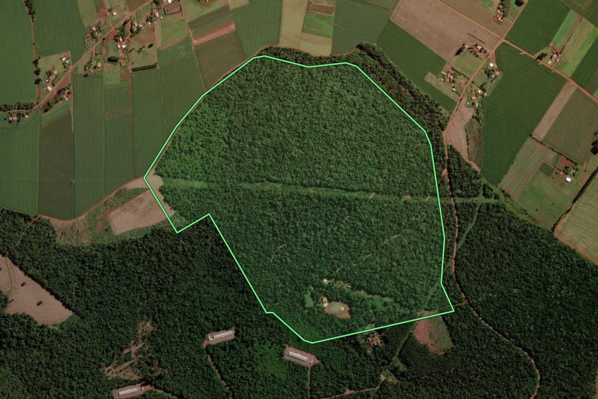 Imagem de satélite do imóvel rural em Cascavel (PR), com o contorno declarado no CAR desenhado por cima.