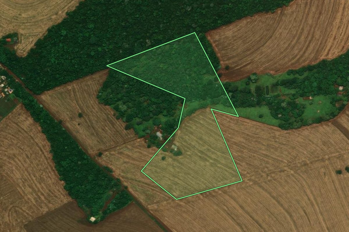 Imagem de satélite do imóvel rural em Cascavel (PR), com o contorno declarado no CAR desenhado por cima.