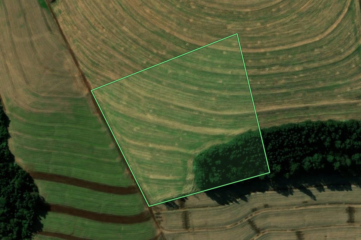 Imagem de satélite do imóvel rural em Cascavel (PR), com o contorno declarado no CAR desenhado por cima.