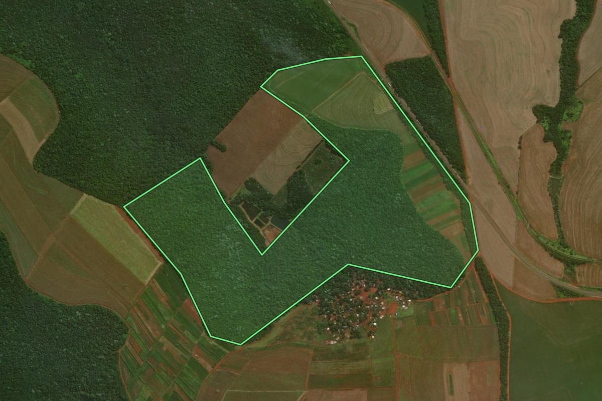 Imagem de satélite do imóvel rural em Cascavel (PR), com o contorno declarado no CAR desenhado por cima.