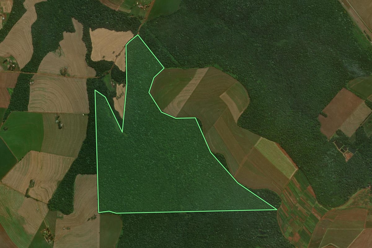 Imagem de satélite do imóvel rural em Cascavel (PR), com o contorno declarado no CAR desenhado por cima.