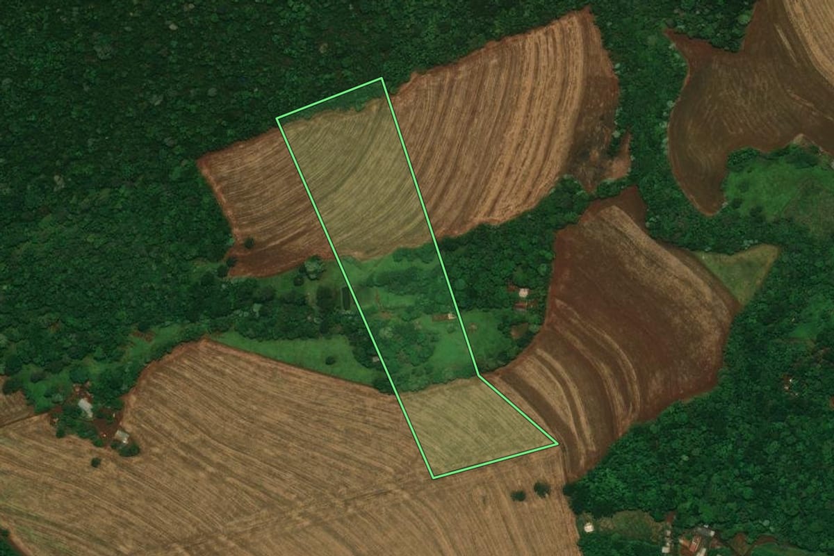 Imagem de satélite do imóvel rural em Cascavel (PR), com o contorno declarado no CAR desenhado por cima.