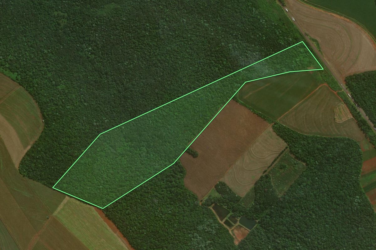 Imagem de satélite do imóvel rural em Cascavel (PR), com o contorno declarado no CAR desenhado por cima.