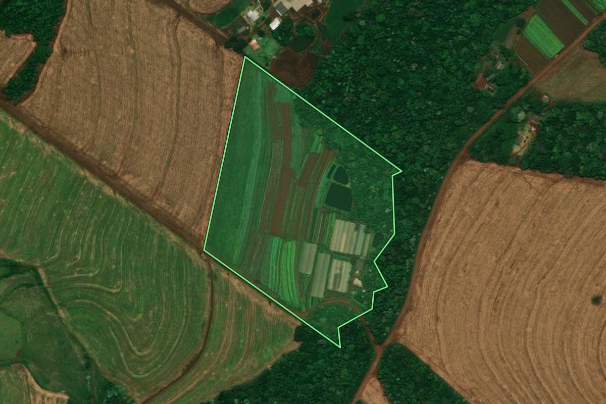 Imagem de satélite do imóvel rural em Cascavel (PR), com o contorno declarado no CAR desenhado por cima.