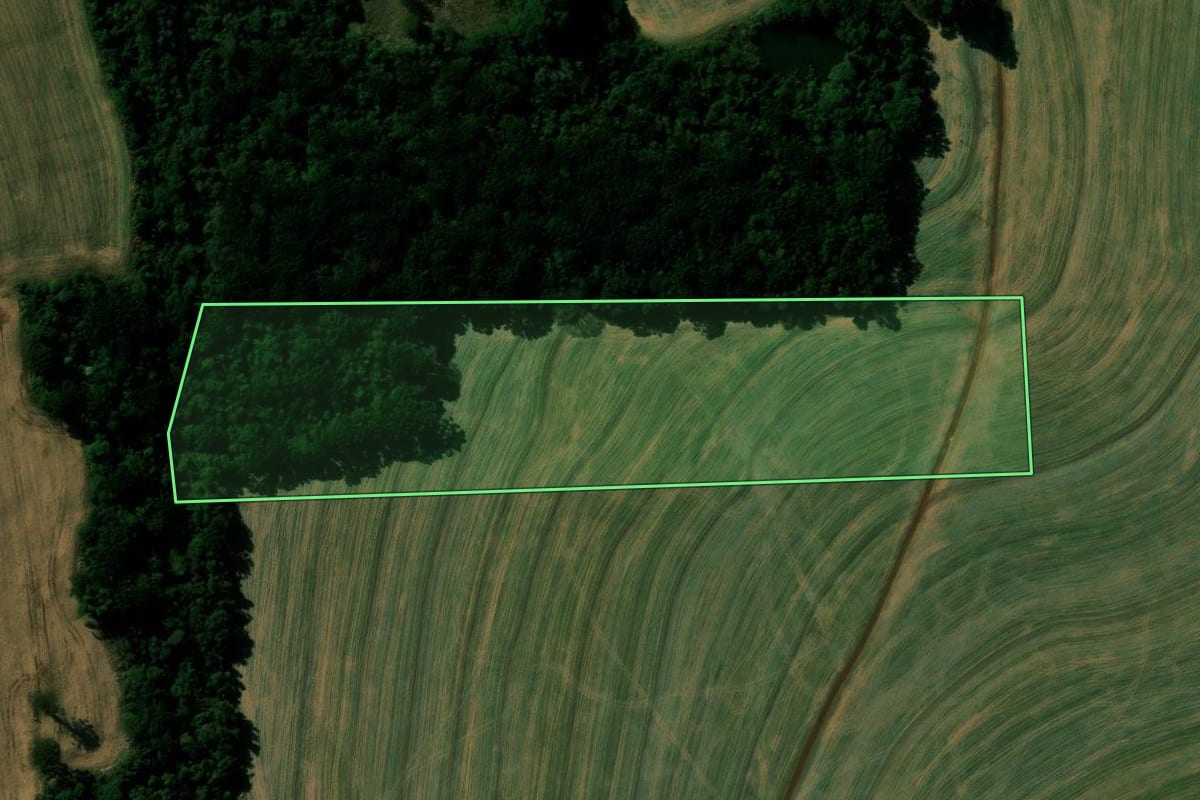 Imagem de satélite do imóvel rural em Cascavel (PR), com o contorno declarado no CAR desenhado por cima.
