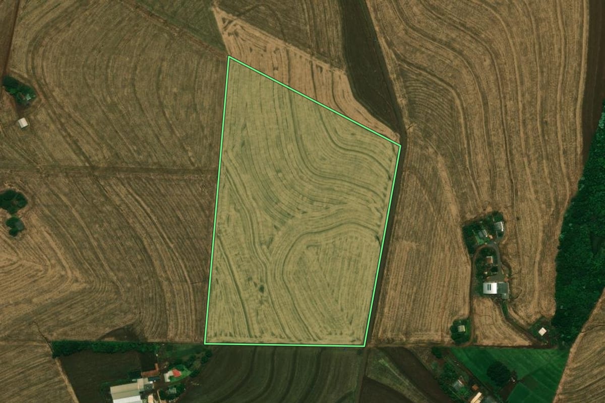 Imagem de satélite do imóvel rural em Cascavel (PR), com o contorno declarado no CAR desenhado por cima.