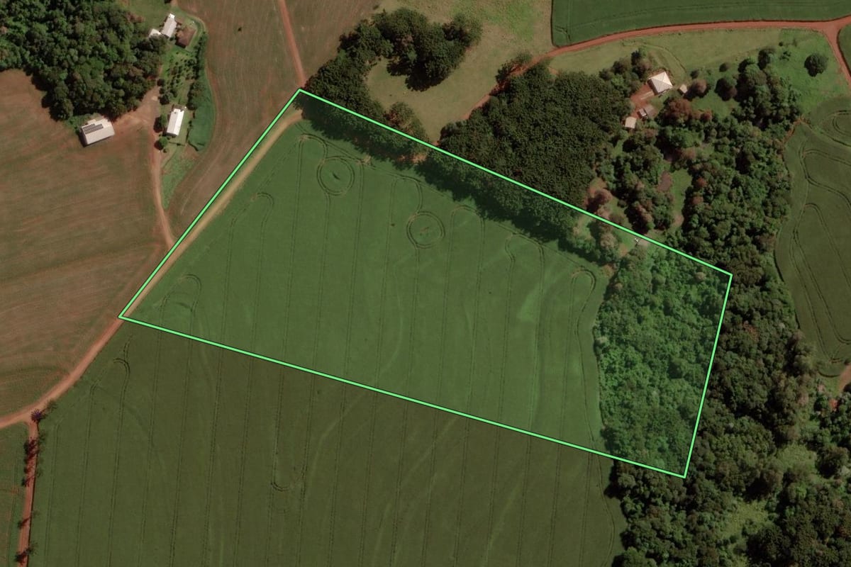 Imagem de satélite do imóvel rural em Cascavel (PR), com o contorno declarado no CAR desenhado por cima.