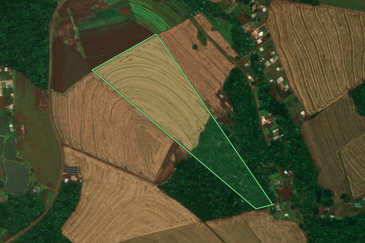 Imagem de satélite do imóvel rural em Cascavel (PR), com o contorno declarado no CAR desenhado por cima.