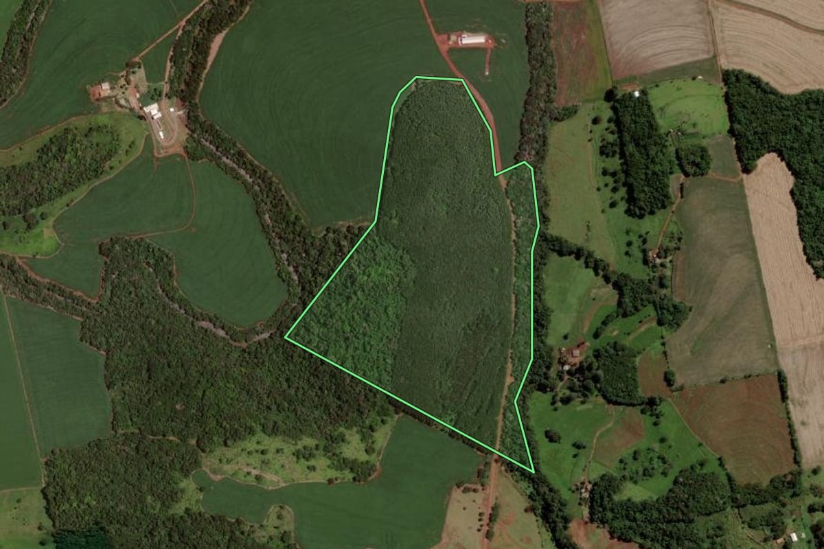 Imagem de satélite do imóvel rural em Cascavel (PR), com o contorno declarado no CAR desenhado por cima.