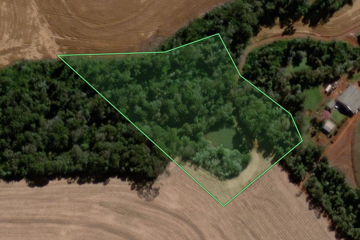 Imagem de satélite do imóvel rural em Cascavel (PR), com o contorno declarado no CAR desenhado por cima.