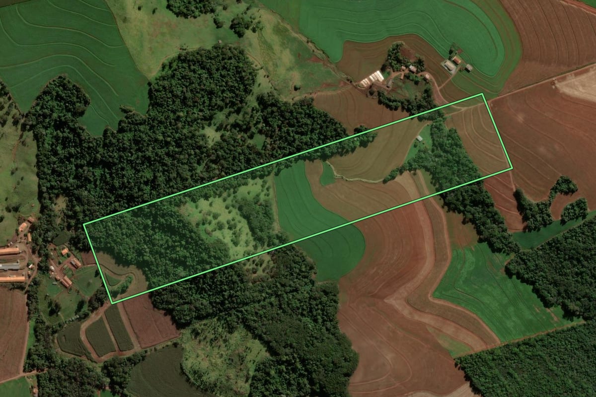 Imagem de satélite do imóvel rural em Cascavel (PR), com o contorno declarado no CAR desenhado por cima.