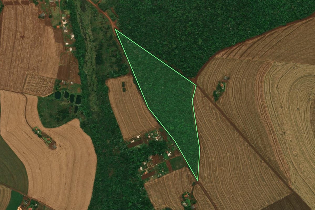 Imagem de satélite do imóvel rural em Cascavel (PR), com o contorno declarado no CAR desenhado por cima.