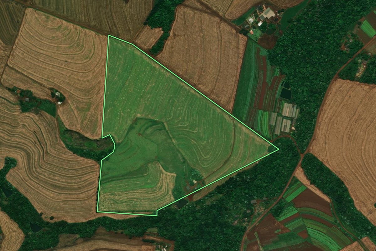 Imagem de satélite do imóvel rural em Cascavel (PR), com o contorno declarado no CAR desenhado por cima.