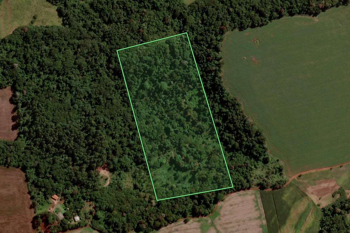 Imagem de satélite do imóvel rural em Cascavel (PR), com o contorno declarado no CAR desenhado por cima.